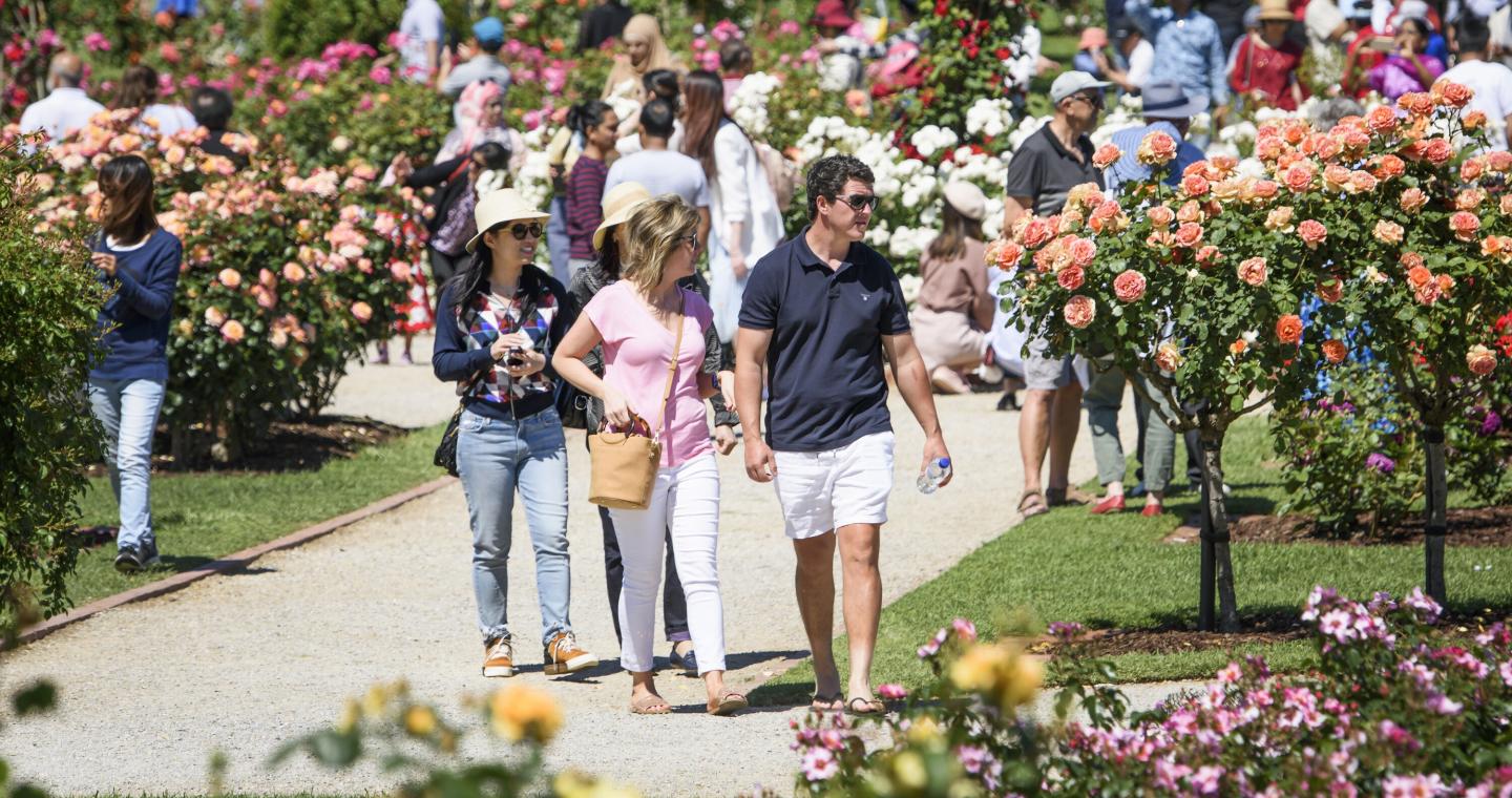 Image: State Rose and Garden Show