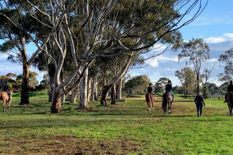 riders on horseback