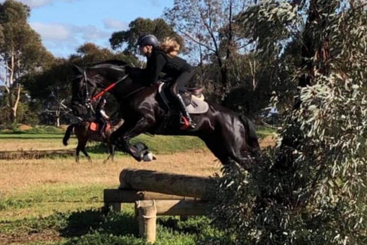 rider on horseback jumping over obstacle