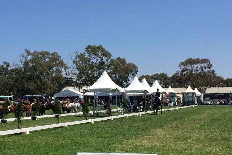 rows of white marquees