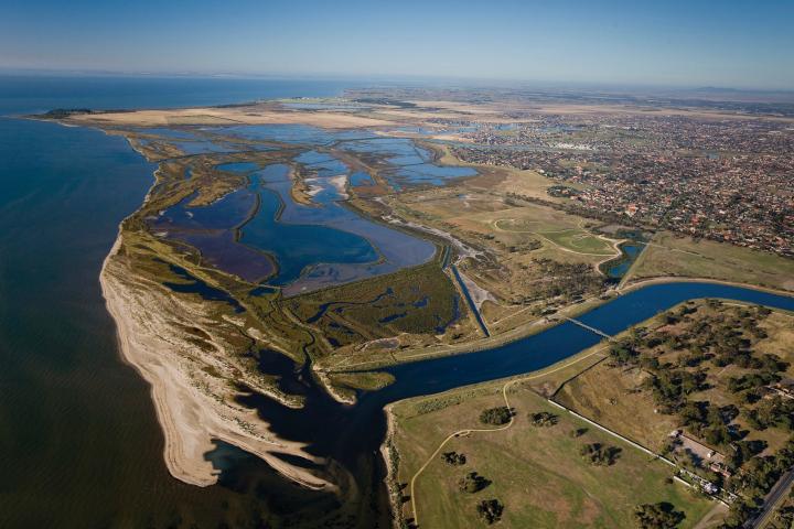 Cheetham Wetlands